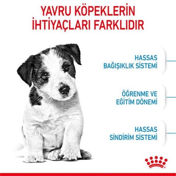 Royal Canin Mini Puppy Yavru Kuru Köpek Maması 2 Kg - 5