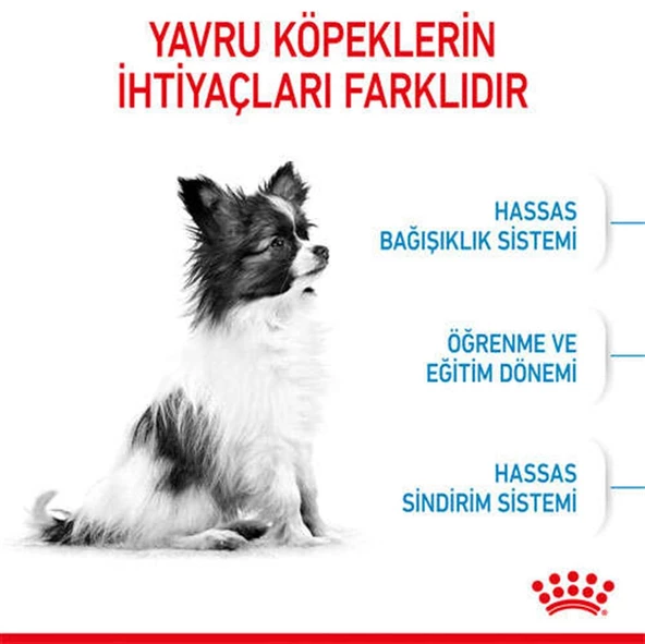 Royal Canin Xsmall Yavru Köpek Maması 1,5 Kg - 3