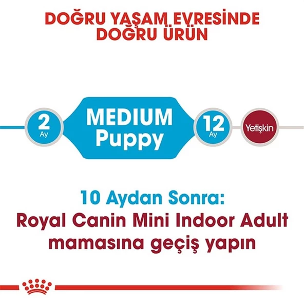 Royal Canin Puppy Medium Orta Irk Yavru Köpek Maması 4 Kg - 5