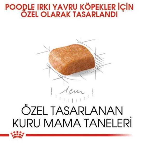 Royal Canin Poodle Junior Yavru Köpek Maması 3 Kg - 2