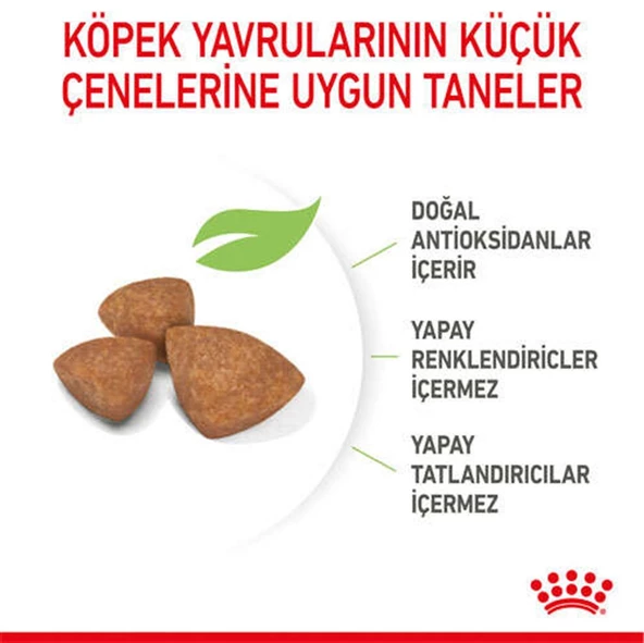 Royal Canin Xsmall Yavru Köpek Maması 1,5 Kg - 6