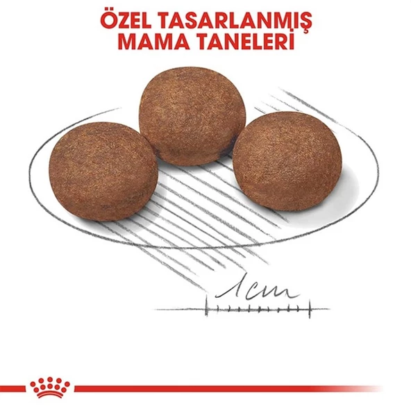 Royal Canin Puppy Medium Orta Irk Yavru Köpek Maması 4 Kg - 4