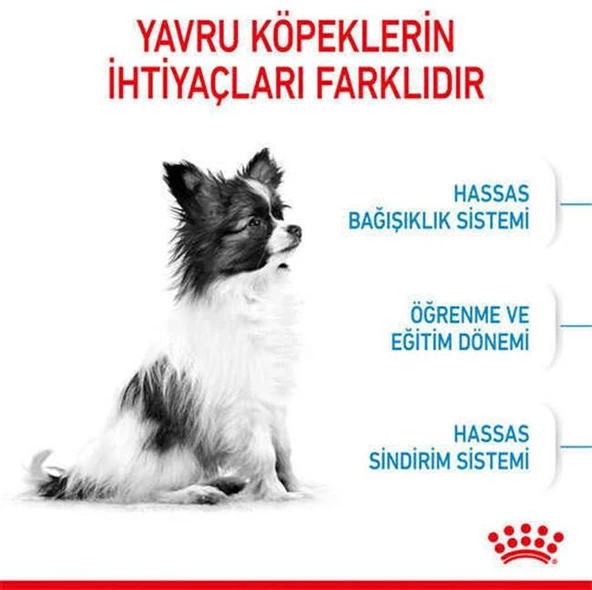 Royal Canin Xsmall Yavru Köpek Maması 3 Kg - 4