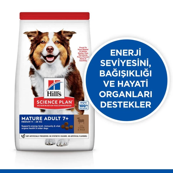 Hills Adult 7+ Lamb & Rice Kuzu Etli Yaşlı Köpek Maması 2.5 Kg - 4