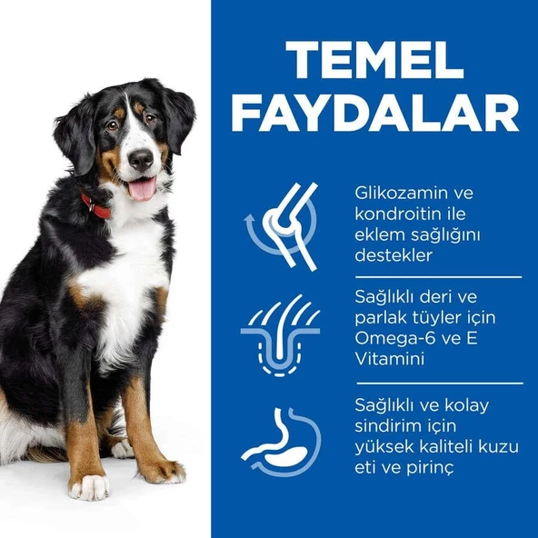 Hills Adult Large Breed Kuzu Etli Büyük Irk Yetişkin Köpek Maması 14 Kg - 6