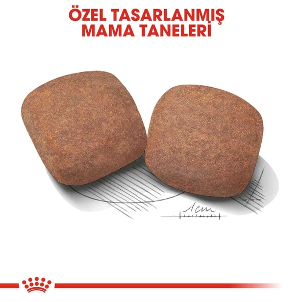Royal Canin Giant Adult İri Irk Yetişkin Köpek Maması 15 Kg - 2
