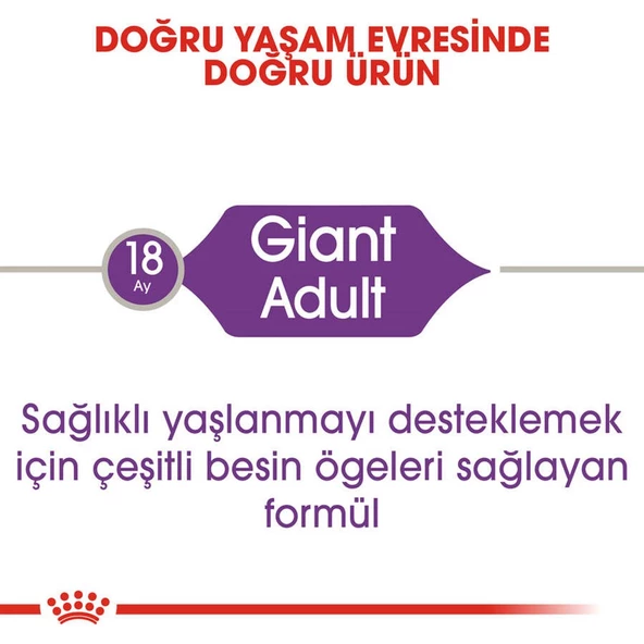 Royal Canin Giant Adult İri Irk Yetişkin Köpek Maması 15 Kg - 5