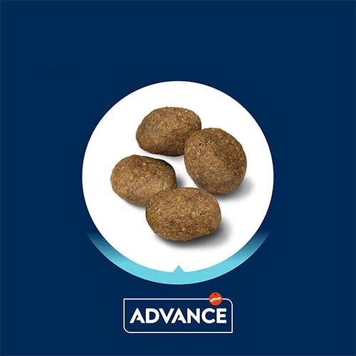 Advance Yetişkin Kuzulu Pirinçli Köpek Maması 12 Kg - 7