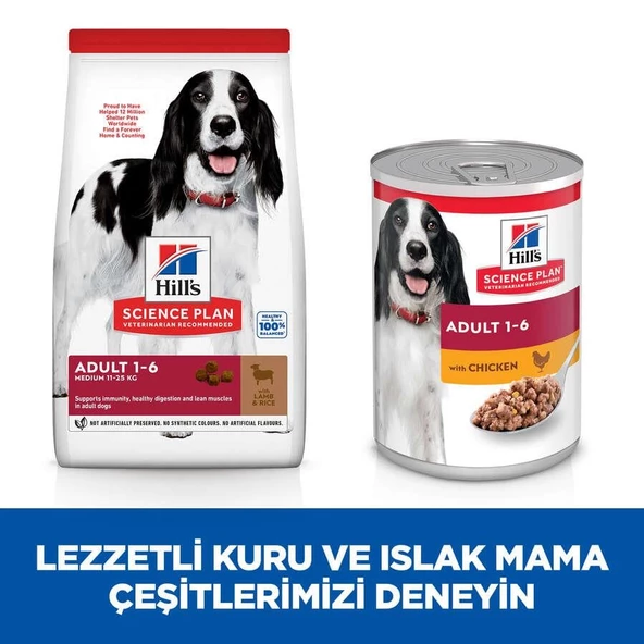 Hills Adult Kuzulu ve Pirinçli Orta Irk Yetişkin Köpek Maması 14 Kg - 5