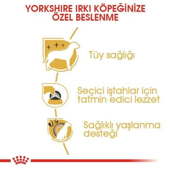 Royal Canin Yorkshire Terrier Köpek Maması 1,5 Kg - 3