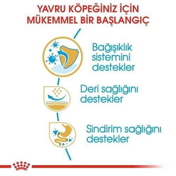 Royal Canin Pug 25 Pug Junior Yavru Köpek Maması 1,5 Kg - 2