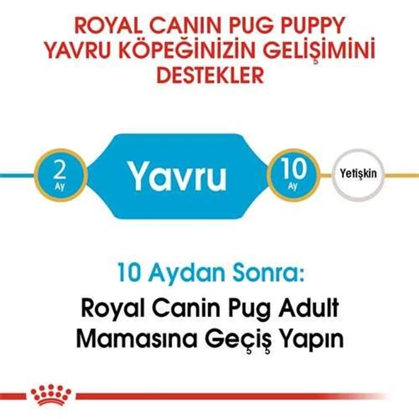 Royal Canin Pug 25 Pug Junior Yavru Köpek Maması 1,5 Kg - 3