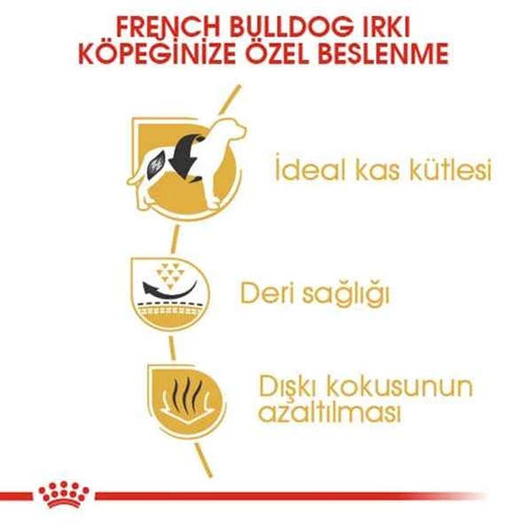 Royal Canin French Bulldog Yetişkin Köpek Maması 3 Kg - 3
