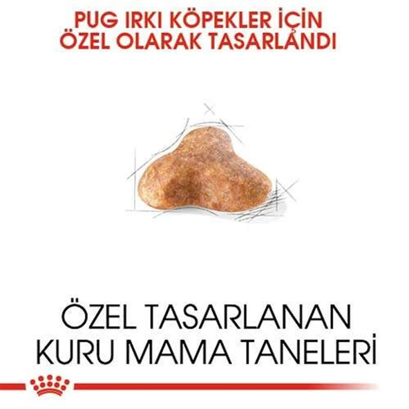 Royal Canin Pug 25 Pug Irkına Özel Köpek Maması 1,5 Kg - 2