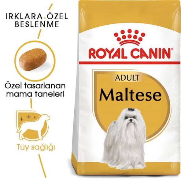 Royal Canin Maltese Bichon Maltais Köpek Maması 1.5 Kg - 4