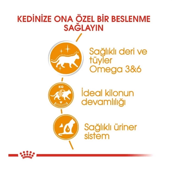 Royal Canin İntense Beauty Jelly Yetişkin Kedi Konservesi Pouch 85 gr - Resim 6