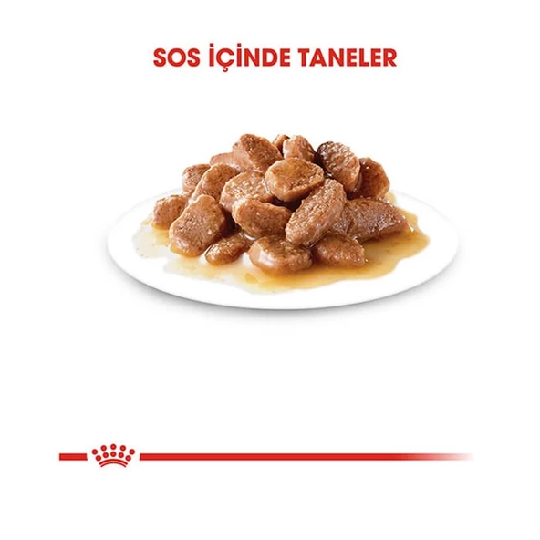 Royal Canin İntense Beauty Gravy Pouch Kedi Maması 85 Gr - 3