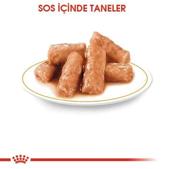 Royal Canin British Shorthair Irkına Özel Yaş Kedi Maması 85 Gr - Resim 3