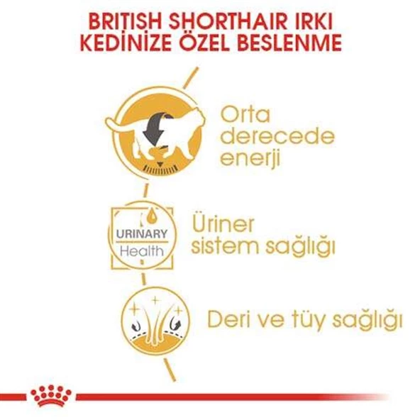Royal Canin British Shorthair Irkına Özel Yaş Kedi Maması 85 Gr - Resim 5