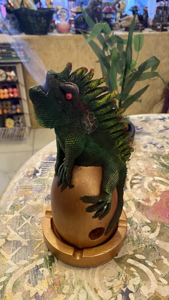 Konik Tütsülük İguana - Resim 6