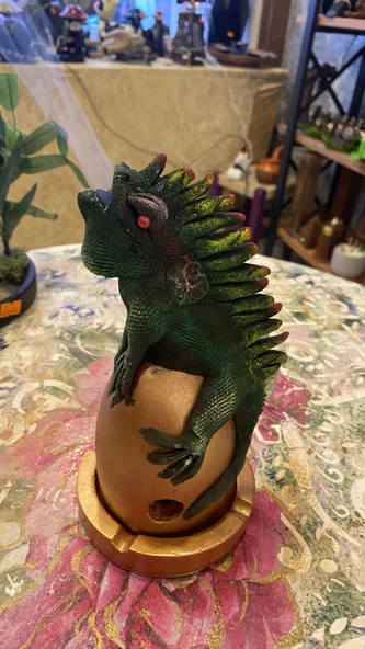 Konik Tütsülük İguana - Resim 9