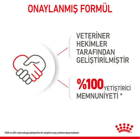 Royal Canin Starter Mousse Anne ve Yavruları İçin Köpek Konservesi 195 Gr - 10