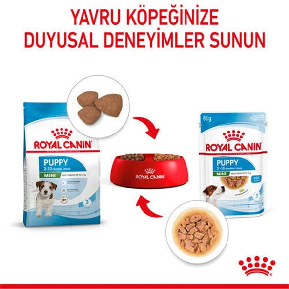 Royal Canin Mini Puppy Köpek Konservesi 85 gr - 5