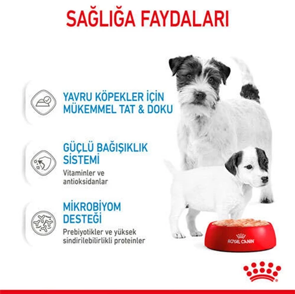 Royal Canin Starter Mousse Anne ve Yavruları İçin Köpek Konservesi 195 Gr - 6