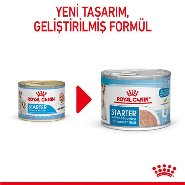 Royal Canin Starter Mousse Anne ve Yavruları İçin Köpek Konservesi 195 Gr - 2