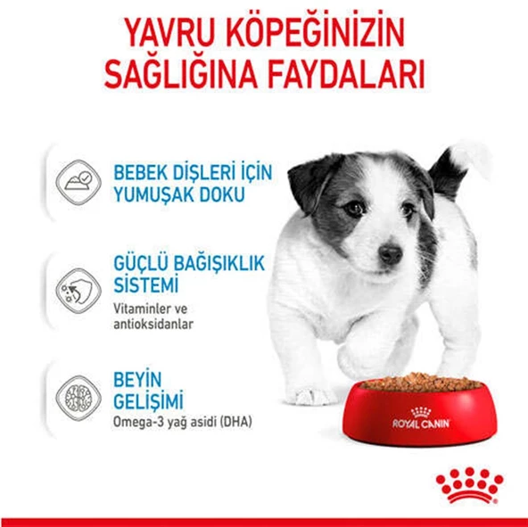 Royal Canin Mini Puppy Köpek Konservesi 85 gr - 4
