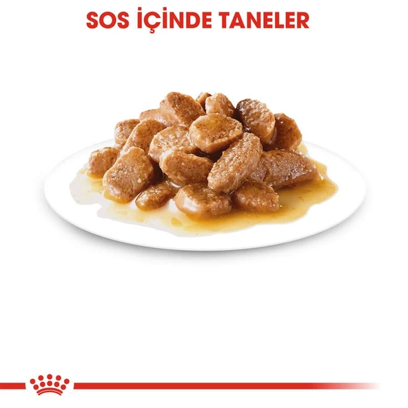 Royal Canin Pouch Mini Adult Köpek Yaş Maması 85 Gr - 2