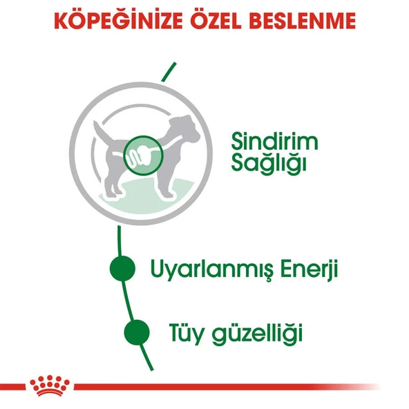 Royal Canin Pouch Mini Adult Köpek Yaş Maması 85 Gr - 4