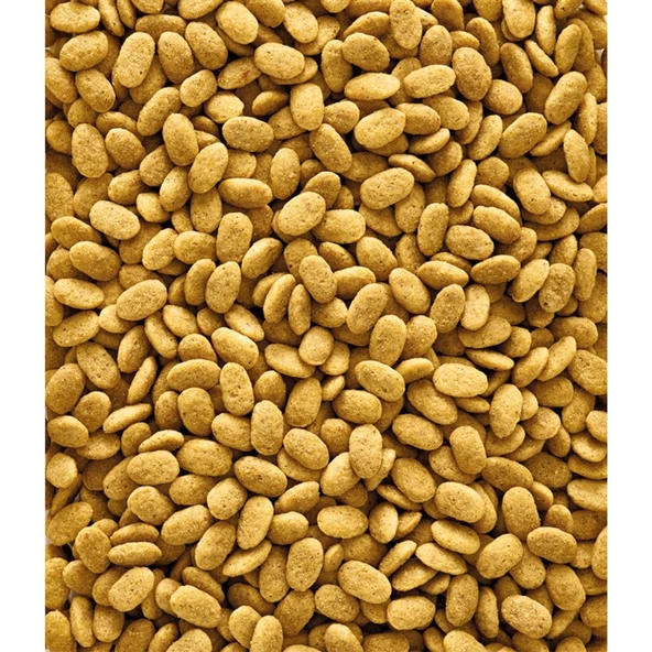 Versele Laga Nutribird P15 Original 10kg - 2
