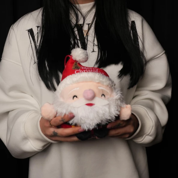 Yılbaşı Noel Baba Peluş Oyuncak 20 CM - 4