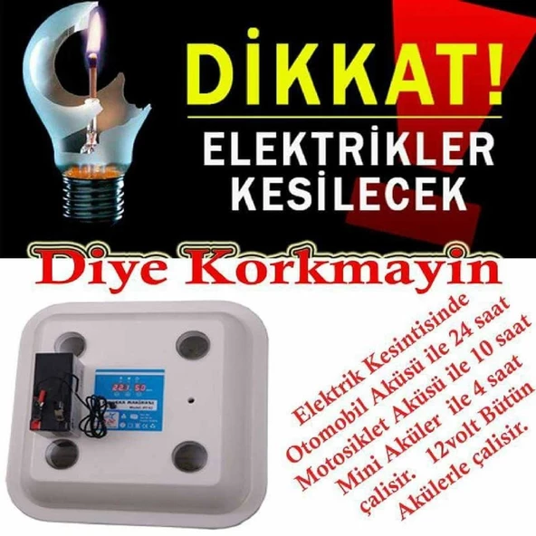 Ayyıldız Kuluçka Makinesi AY42-B - 5
