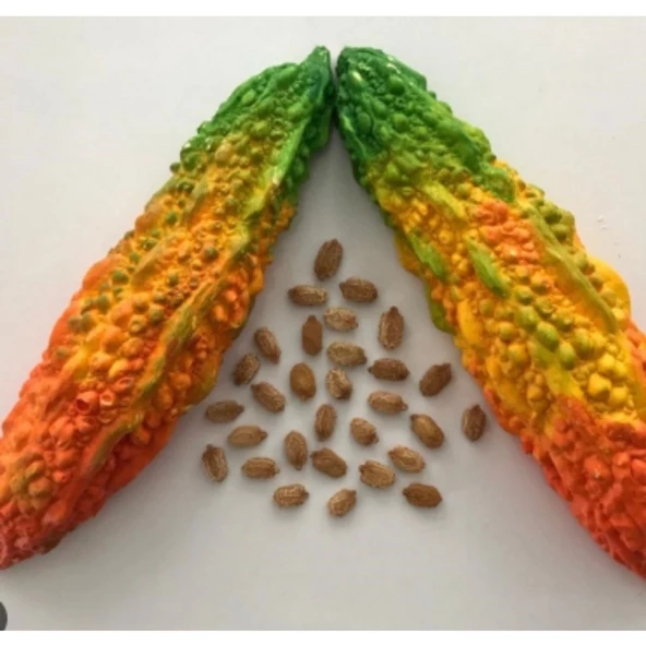 Simagro Kudret Narı Tohumu 5 Adet Tohum - 2