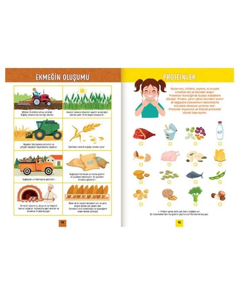 Eolo Besinlerin Gücü - Resim 3