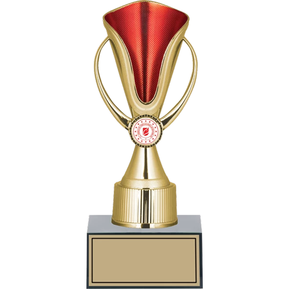 ODAK KUPA - Genel Kupalar - GN-180 B - 25 cm ürün görseli 1