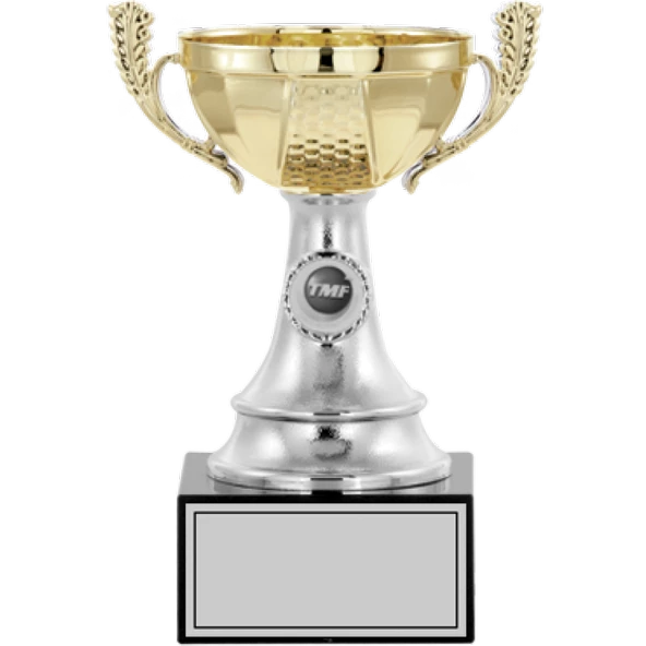 ODAK KUPA - Small Kupalar - S-002 A - 22 cm ürün görseli 1