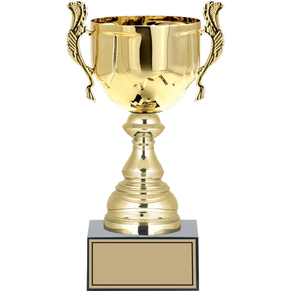 ODAK KUPA - Medium Kupalar - M-021 C - 27 cm ürün görseli 1