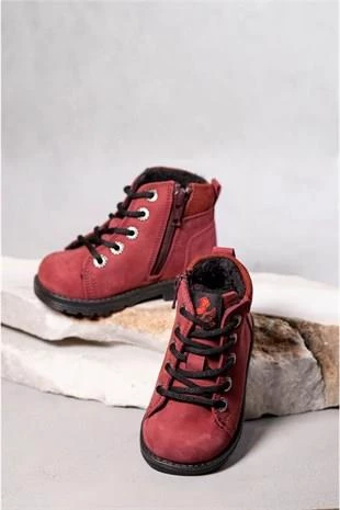 Bordo Bebe Bot - 2