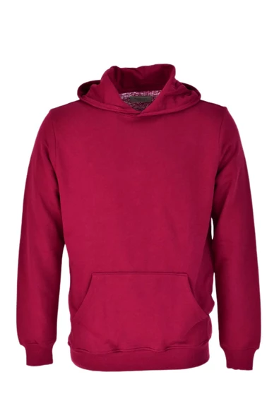 Erkek Kapüşonlu Basic Sweatshirt R2248 BGL-ST03192 - Resim 6