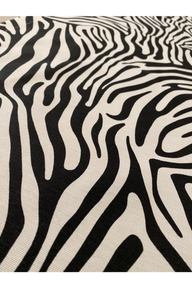 Duck Zebra Runner - 2