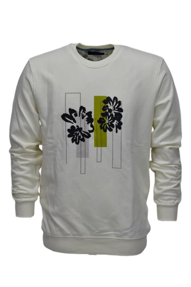 Erkek Baskılı Spor Sıfır Yaka Sweatshirt R2201 BGL-ST03191 - Resim 2