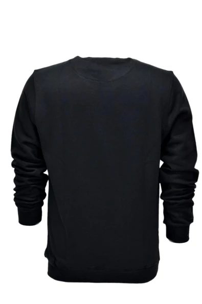 Erkek Baskılı Spor Sıfır Yaka Sweatshirt R2206 BGL-ST03190 - Resim 6