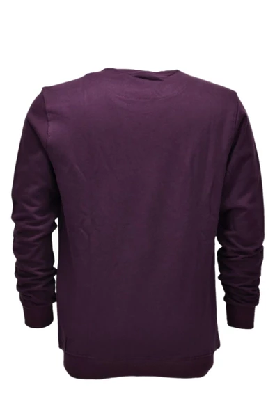 Erkek Baskılı Spor Sıfır Yaka Sweatshirt R2202 BGL-ST03189 - 9
