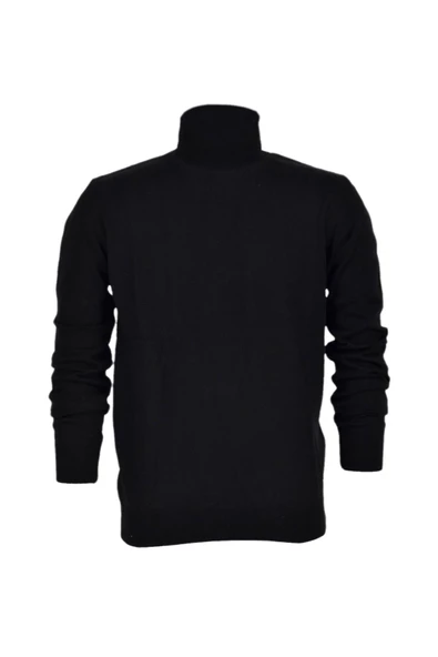 Erkek Spor Düz Balıkçı Yaka Kazak R21010 BGL-ST03179 - Resim 3