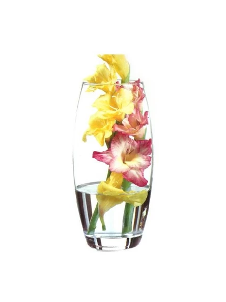Paşabahçe 43966 Botanica Cam Vazo