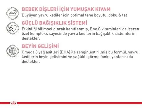 Royal Canin® Kitten Jelly Yavru Kedi Yaş Maması 85 Gr*12 - 2
