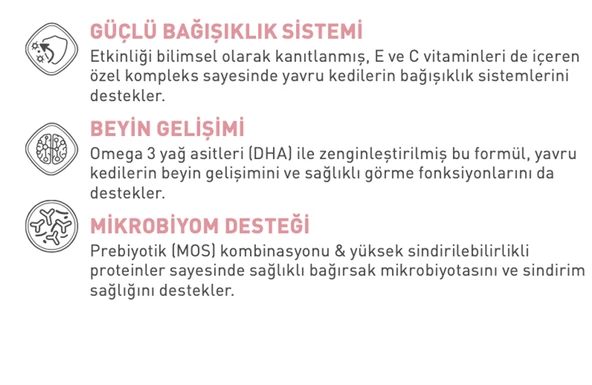 Royal Canin® Kitten Yavru Kedi Maması 4 Kg - 2